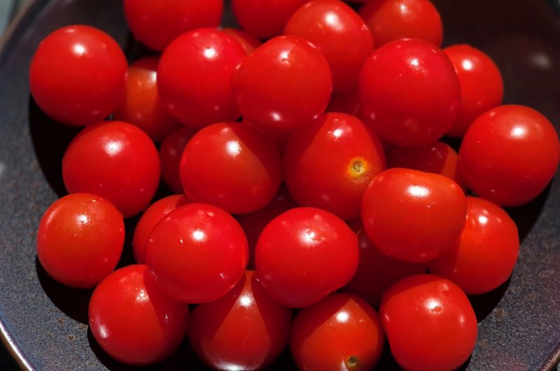 Angeleiten Tomaten aus dem Schiäffchen
